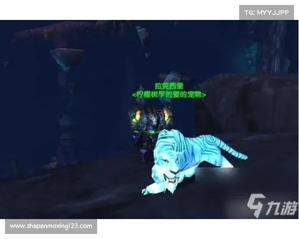 魔兽世界猎人赚钱技巧大揭秘